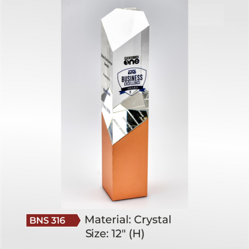 BNS - 316 11.5" (h)