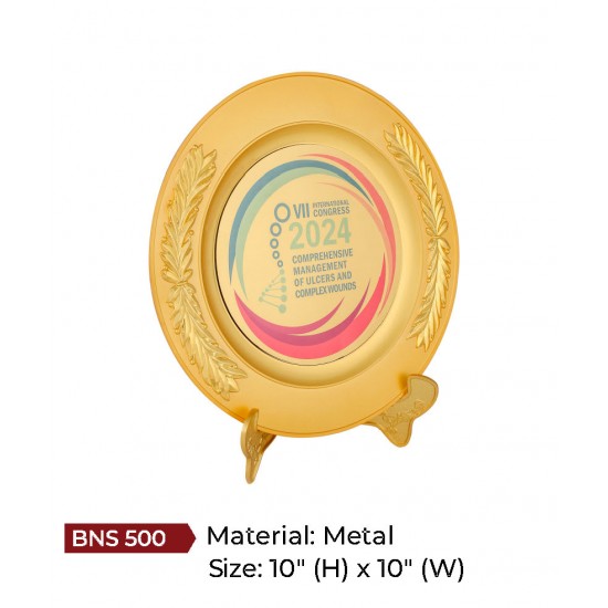 BNS - 500 BNS - 500