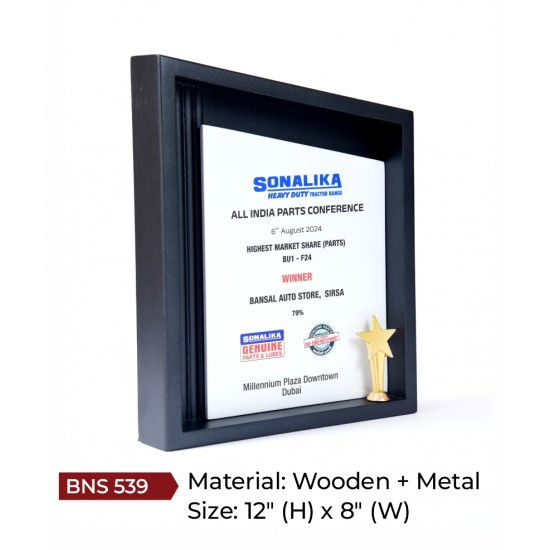 BNS - 539 11" (h) x 6" (w)