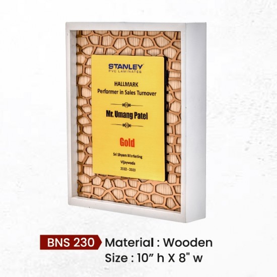 BNS - 230 BNS - 230