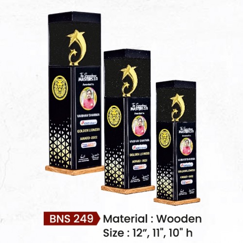 BNS - 249 12"