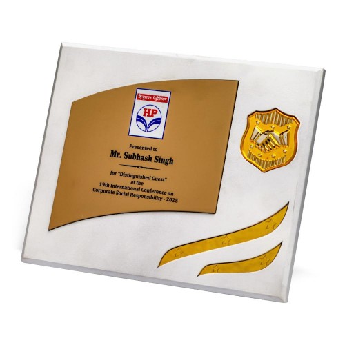 BNS - 623 10"(H) X 8"(W)